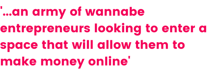 A quote that says ‘an army of wannabe entrepreneurs looking to enter a space that will allow them to make money online’ 